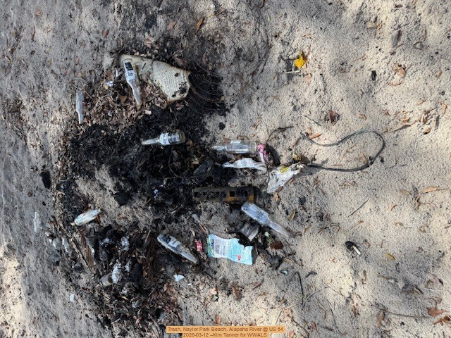 Trash, Naylor Park Beach, Alapaha River @ US 84 2026-03-12 --Kim Tanner for WWALS