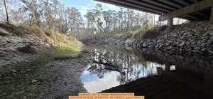 [Upstream, GA 133 Bridge, Withlacoochee River, 2026:03:06 09:08:28, 30.8500744, -83.3398013 --jsq for WWALS]