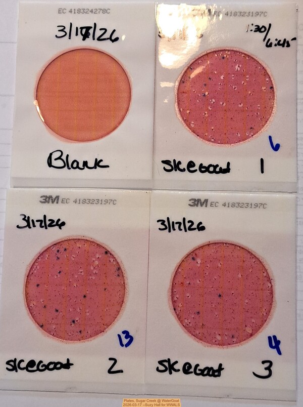 Plates, Sugar Creek @ WaterGoat 2026-03-17 --Suzy Hall for WWALS