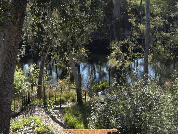 [Holly Point, Withlacoochee River @ NE Withla Bluffs Way 2026-03-18 --Russ Tatum for WWALS]