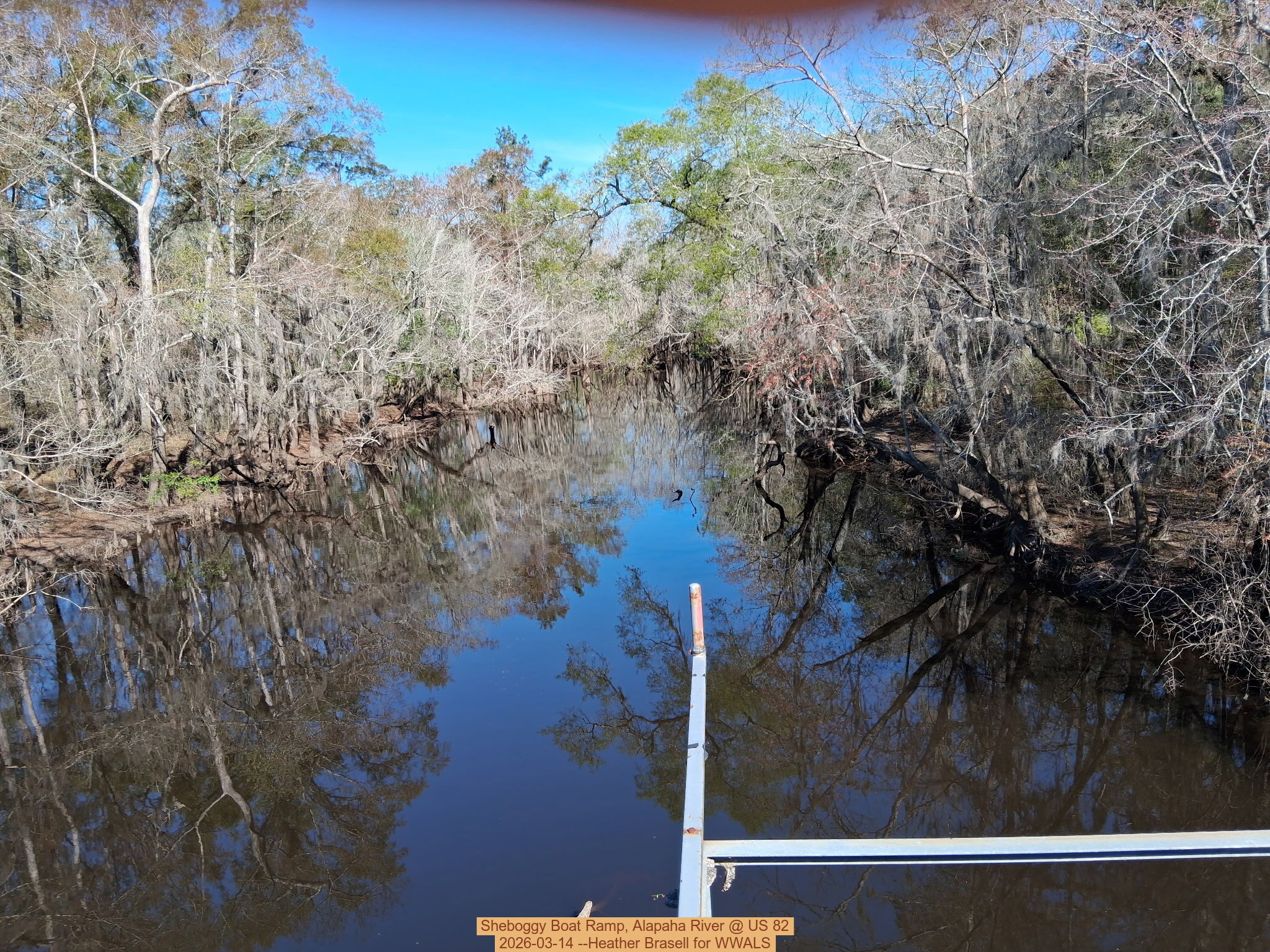 Sheboggy Boat Ramp, Alapaha River @ US 82 2026-03-14 --Heather Brasell for WWALS