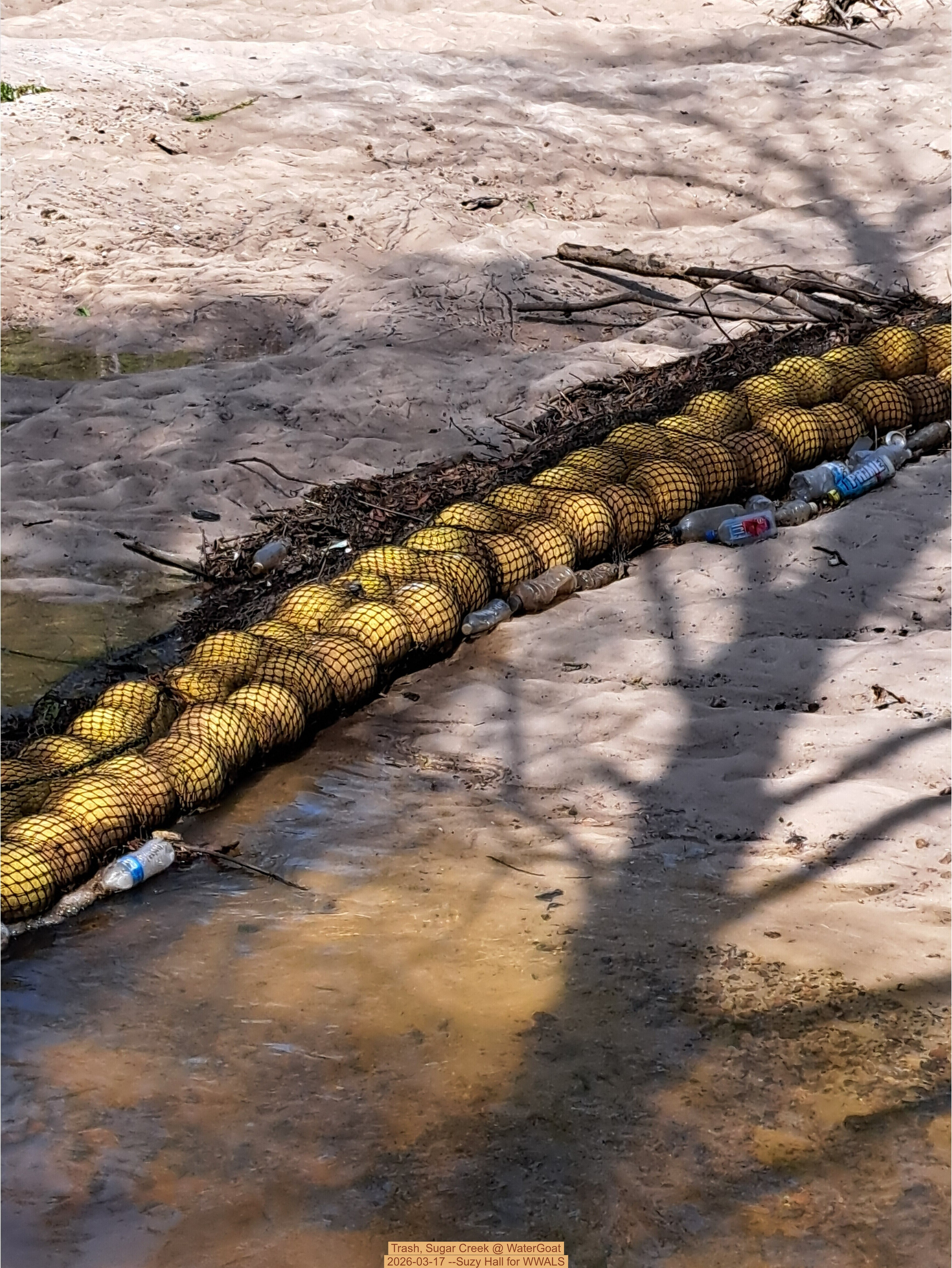 Trash, Sugar Creek @ WaterGoat 2026-03-17 --Suzy Hall for WWALS