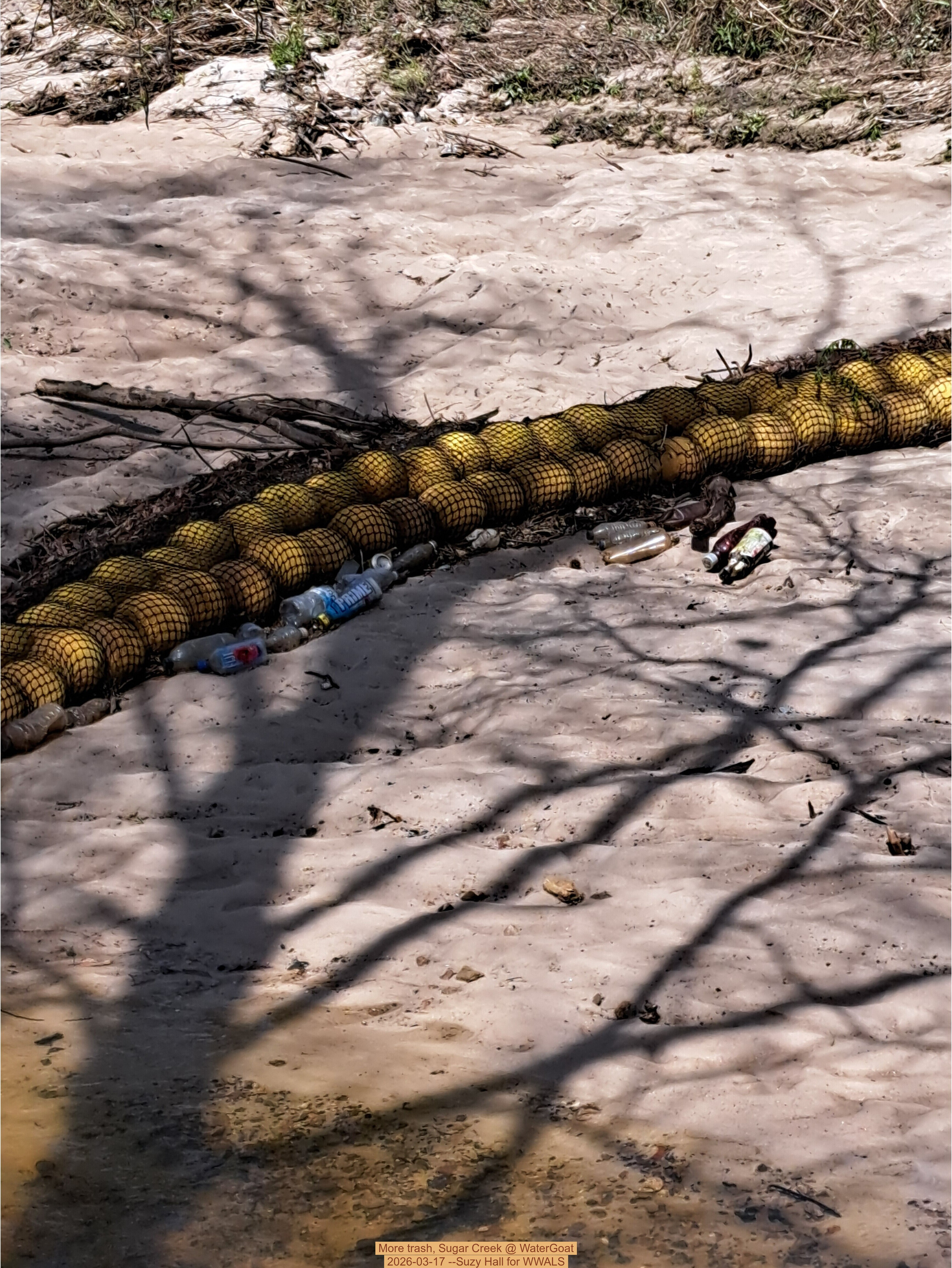 More trash, Sugar Creek @ WaterGoat 2026-03-17 --Suzy Hall for WWALS