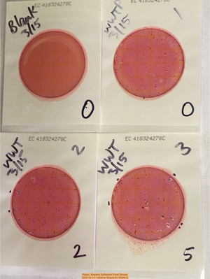 [Plates, Alapaha Settlement Pond Stream 2026-03-14 --Heather Brasell for WWALS]