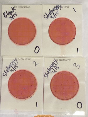 [Plates, Sheboggy Boat Ramp 2026-03-14 --Heather Brasell for WWALS]