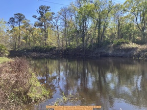 [Downstream, Hagan Bridge Landing, Withlacoochee River @ GA 122 2026-03-19 --Gretchen Quarterman for WWALS]