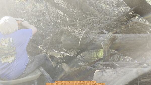 Movie: Continuing where we left off a week before, 2026:03:21 10:33:21, 30.8636638, -83.3231729 (8.1M) --jsq for WWALS