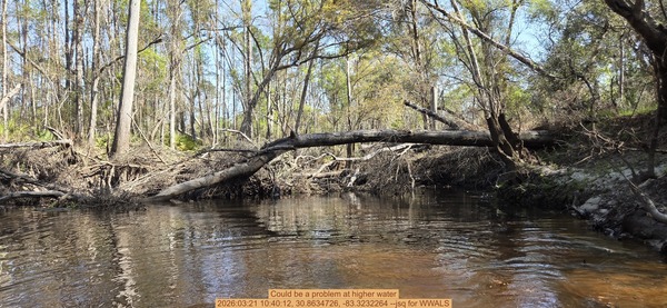 [Could be a problem at higher water, 2026:03:21 10:40:12, 30.8634726, -83.3232264 --jsq for WWALS]