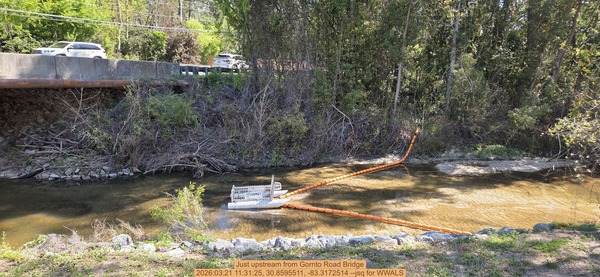 Just upstream from Gornto Road Bridge, 2026:03:21 11:31:25, 30.8595511, -83.3172514 --jsq for WWALS