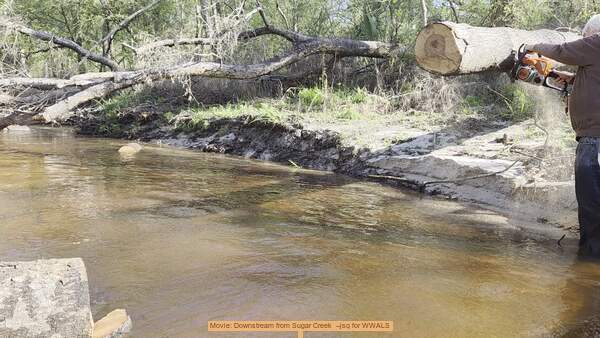 Movie: Downstream from Sugar Creek --jsq for WWALS