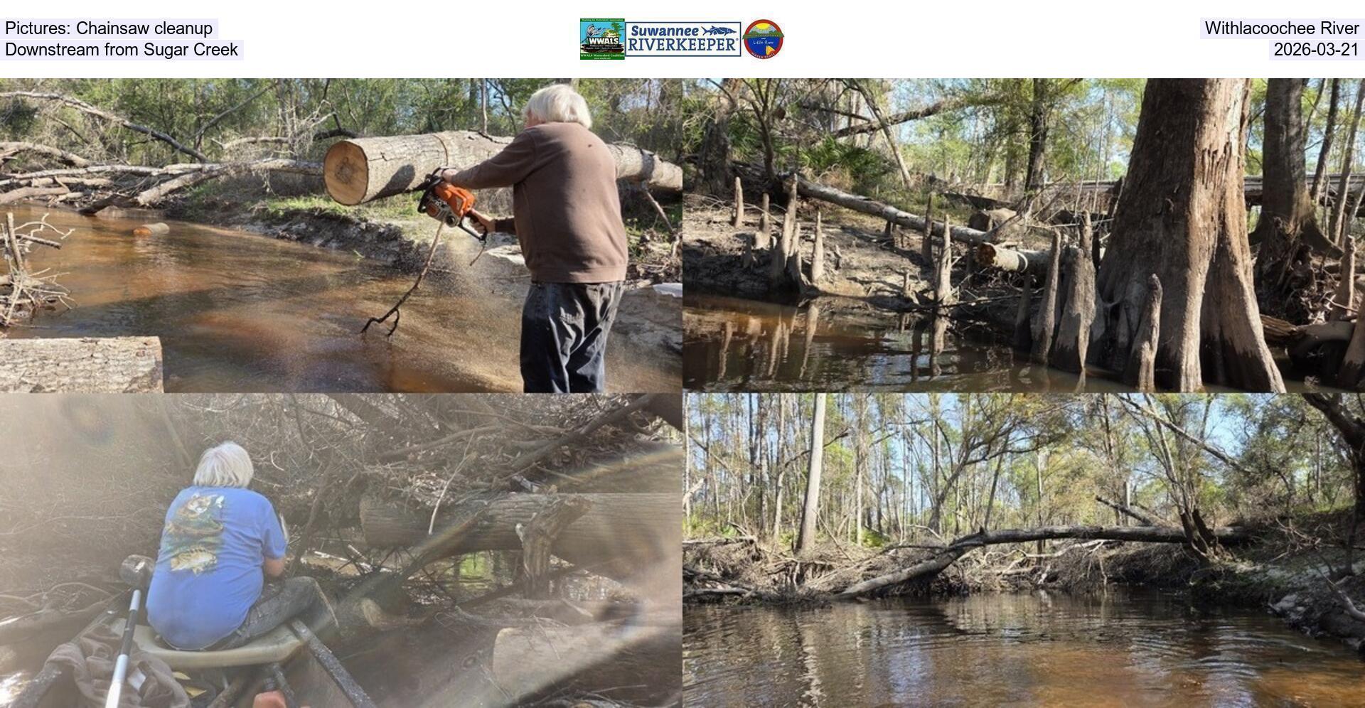 Pictures: Chainsaw cleanup, Withlacoochee River, Downstream from Sugar Creek, 2026-03-21