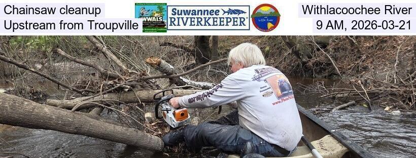 Chainsaw cleanup, Withlacoochee River, Upstream from Troupville, 9 AM, 2026-03-21