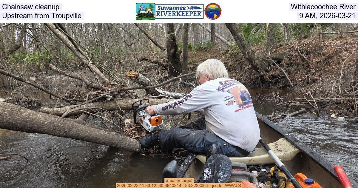 Chainsaw cleanup, Withlacoochee River, Upstream from Troupville, 9 AM, 2026-03-21