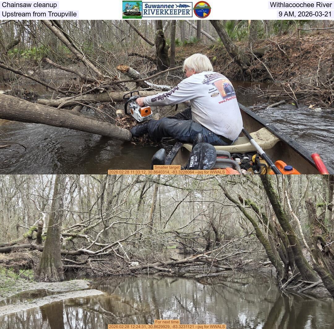 Chainsaw cleanup, Withlacoochee River, Upstream from Troupville, 9 AM, 2026-03-21