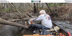 [Chainsaw cleanup, Withlacoochee River, Upstream from Troupville, 9 AM, 2026-03-21]