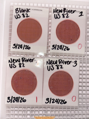 [Plates, US 82 New River Bridge, Tifton, GA 2026-03-24 --Isis Swartz for WWALS]