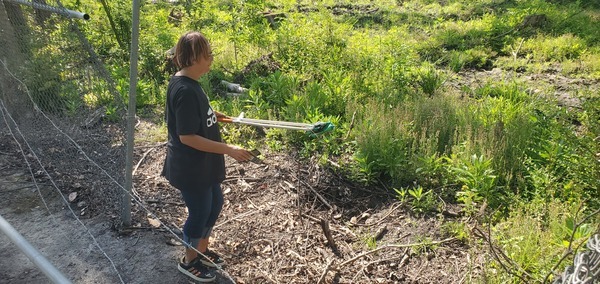 Got two, 2025:04:26, 10:40:01, 30.8431446, -83.2985697 --jsq for WWALS