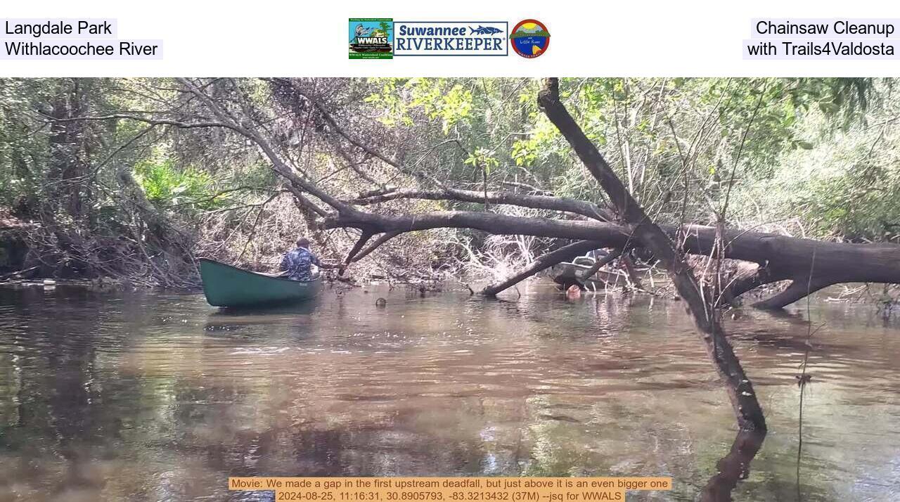 Langdale Park Chainsaw Cleanup, Withlacoochee River, with Trails4Valdosta