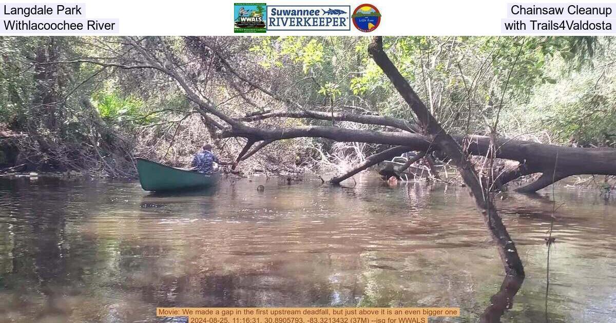 Langdale Park Chainsaw Cleanup, Withlacoochee River, with Trails4Valdosta