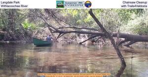 [Langdale Park Chainsaw Cleanup, Withlacoochee River, with Trails4Valdosta]