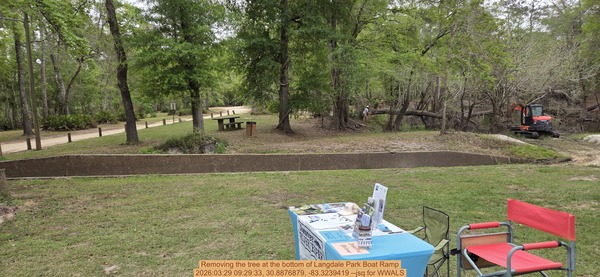 [Removing the tree at the bottom of Langdale Park Boat Ramp, 2026:03:29 09:29:33, 30.8876879, -83.3239419 --jsq for WWALS]