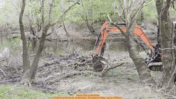 Movie: Pick up the limbs, 2026:03:29 09:40:50, 30.8874220, -83.3238214 (29M) --jsq for WWALS