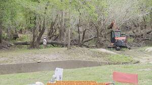 [Movie: Tree just below Langdale Park Boat Ramp, 2026:03:29 09:30:15, 30.8876879, -83.3239419 (87M) --jsq for WWALS]