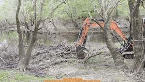 [Movie: Pick up the limbs, 2026:03:29 09:40:50, 30.8874220, -83.3238214 (29M) --jsq for WWALS]