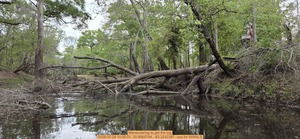 [Maneuvering to get the log, 2026:03:29 10:55:51, 30.8865744, -83.3242387 --jsq for WWALS]