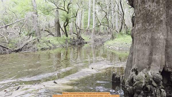 Movie: Corinne Coleman Creek out of Foxborough, 2026:03:29 12:46:31, 30.8879823, -83.3242435 (20M) --jsq for WWALS