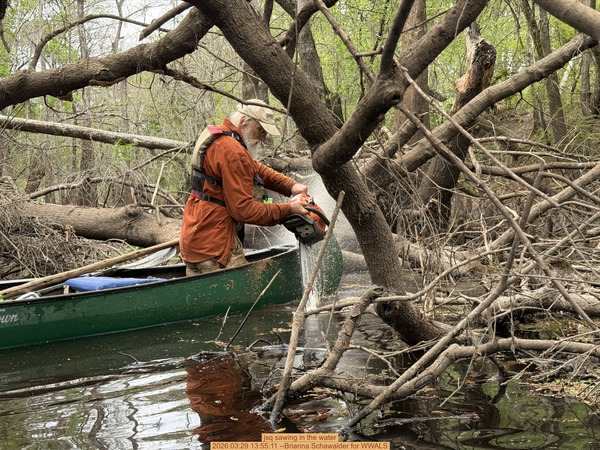 [jsq sawing in the water, 2026:03:29 13:55:11 --Brianna Schawalder for WWALS]