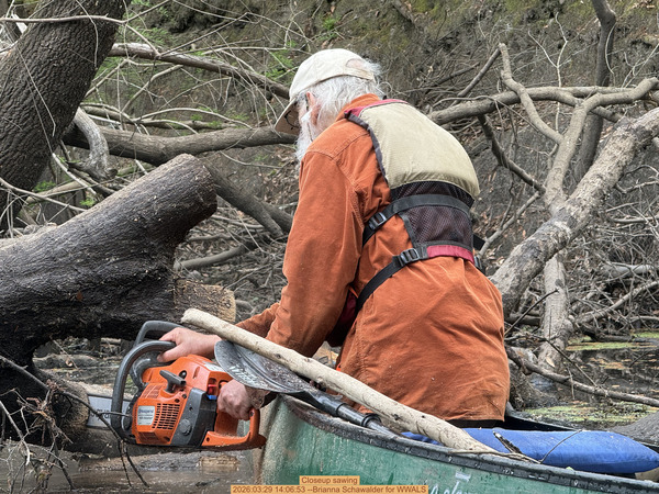 [Closeup sawing, 2026:03:29 14:06:53 --Brianna Schawalder for WWALS]