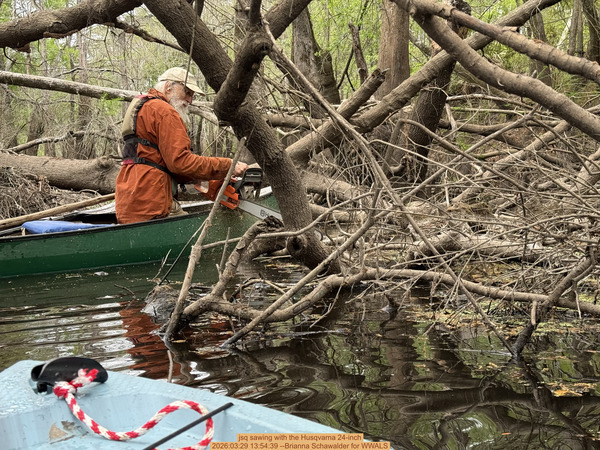 [jsq sawing with the Husqvarna 24-inch, 2026:03:29 13:54:39 --Brianna Schawalder for WWALS]