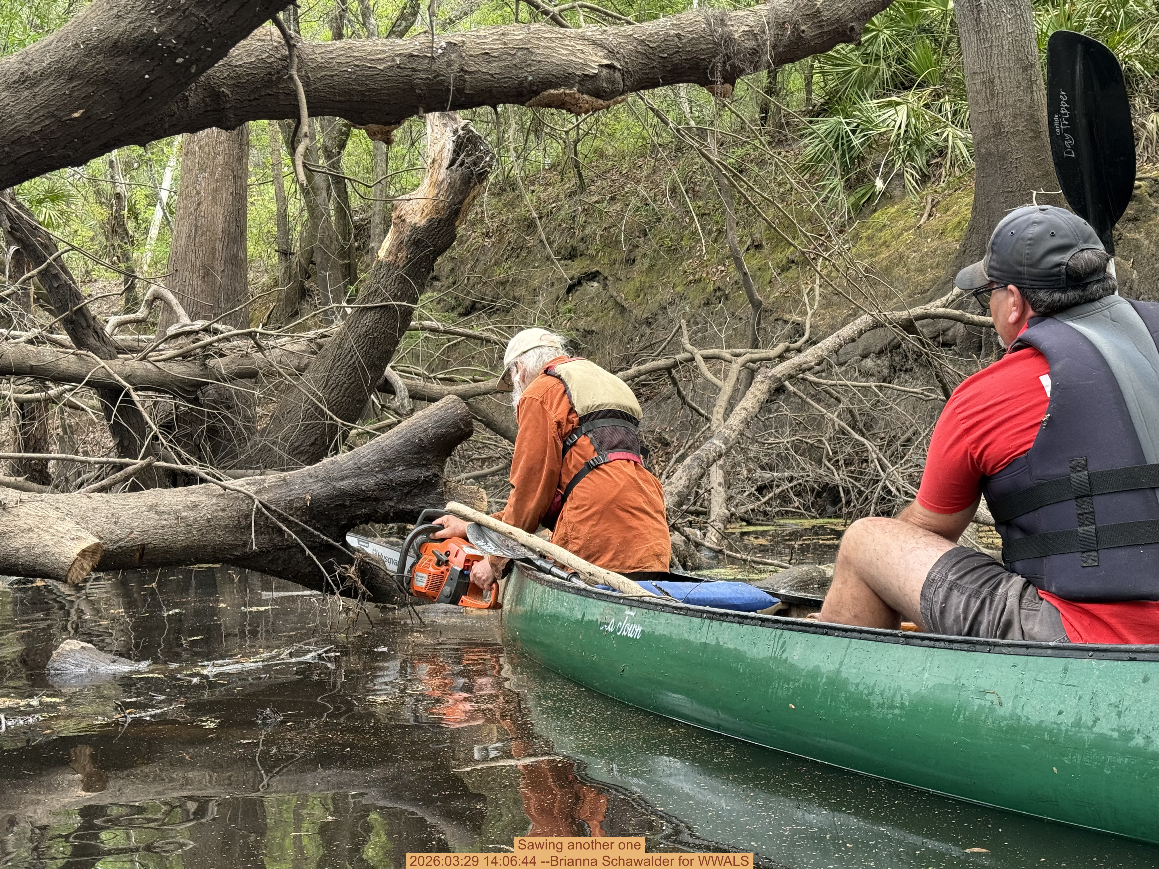 Sawing another one, 2026:03:29 14:06:44 --Brianna Schawalder for WWALS
