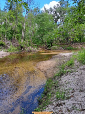 [Two Mile Branch, Sugar Creek @ WaterGoat 2026-04-10 --Suzy Hall for WWALS]