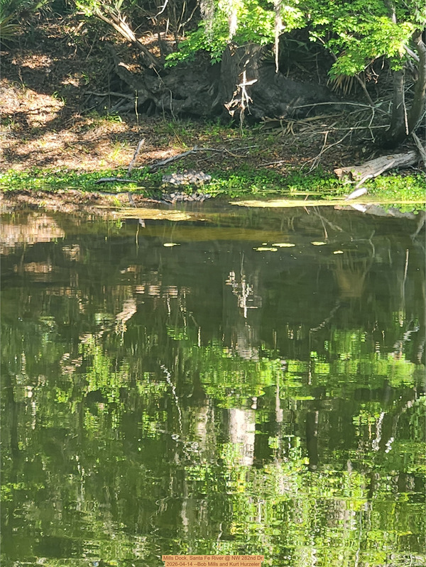[Mills Dock, Santa Fe River @ NW 282nd Dr 2026-04-14 --Bob Mills and Kurt Hurzeler]