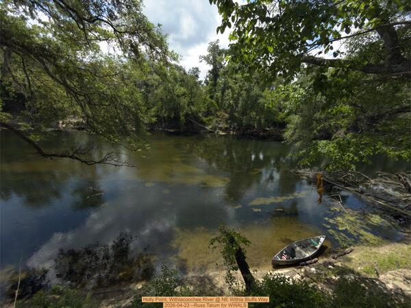 [Holly Point, Withlacoochee River @ NE Withla Bluffs Way 2026-04-23 --Russ Tatum for WWALS]