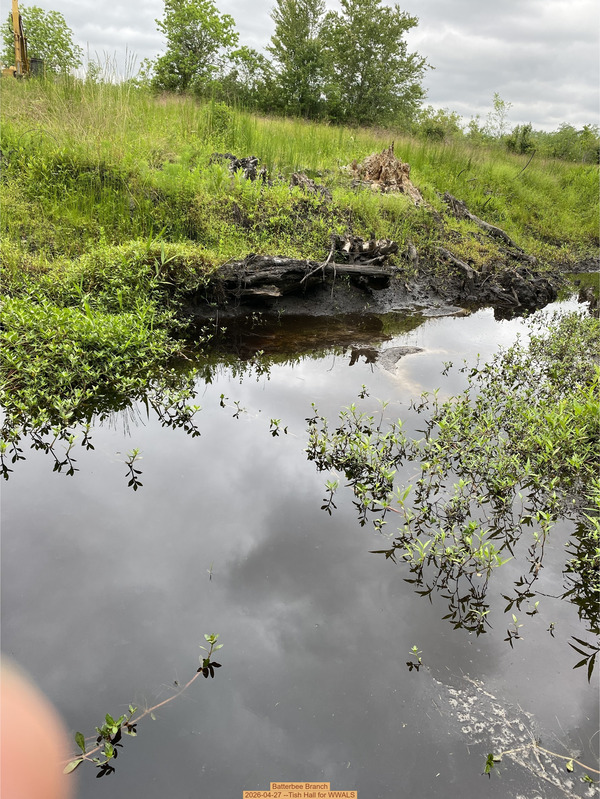 [Batterbee Branch, 2026-04-27 --Tish Hall for WWALS]