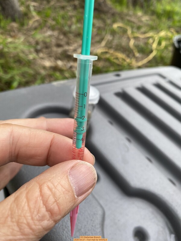 DO Batterbee Branch, 2026-04-27 --Tish Hall for WWALS