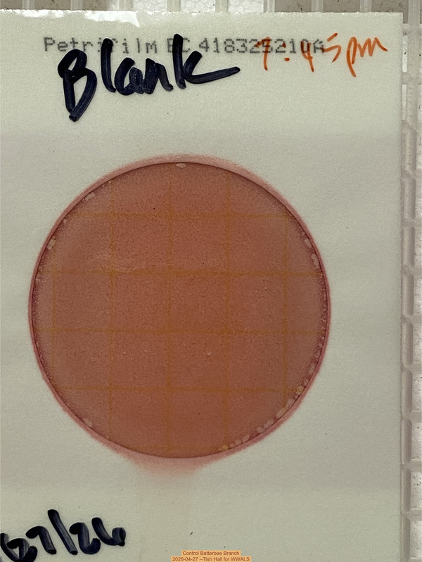 Control Batterbee Branch, 2026-04-27 --Tish Hall for WWALS