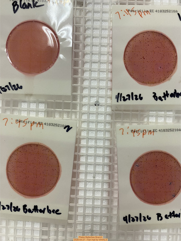 Plates Batterbee Branch, 2026-04-27 --Tish Hall for WWALS