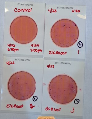 [Watergoat Plates, Sugar Creek 2026-04-23 --Suzy Hall for WWALS]