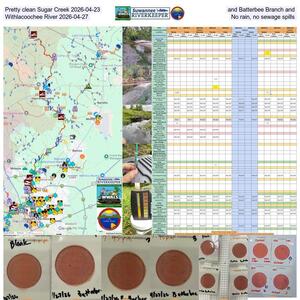 [Pretty clean Sugar Creek 2026-04-23, and Batterbee Branch and Withlacoochee River 2026-04-27, No rain, no sewage spills]