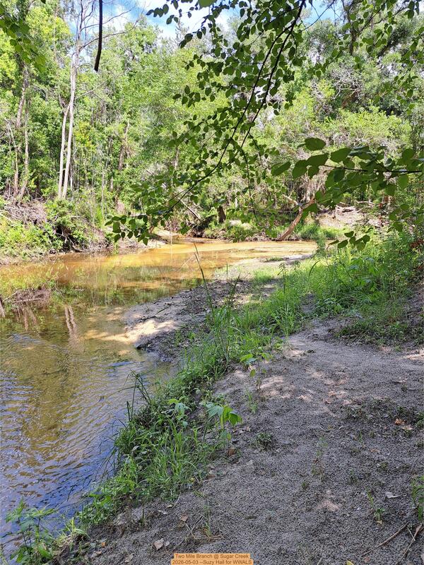 Two Mile Branch @ Sugar Creek, 2026-05-03 --Suzy Hall for WWALS