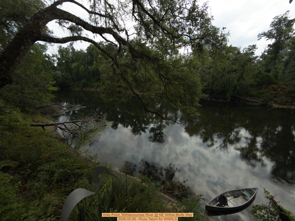 [Holly Point, Withlacoochee River @ NE Withla Bluffs Way 2026-05-06 --Russ Tatum for WWALS]