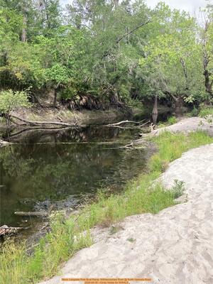 [More, Langdale Park Boat Ramp, Withlacoochee River @ North Valdosta Road 2026-04-30 --Cindy Vedas for WWALS]
