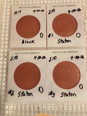 [Plates, Staten Road 2026-04-30 --Cindy Vedas for WWALS]
