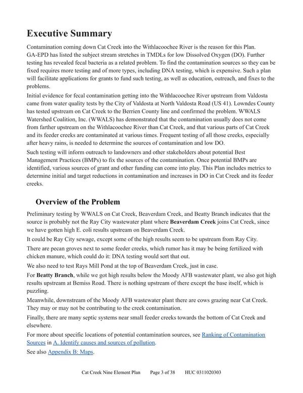 Executive Summary & Overview of the Problem