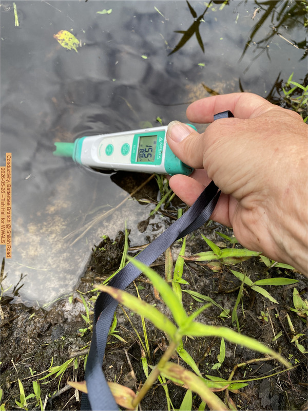 Conductivity, Batterbee Branch @ Shiloh Road 2026-05-26 --Tish Hall for WWALS