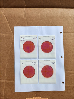 [Plates, Mills Dock 2026-05-27 --Bob Mills and Kurt Hurzeler for WWALS]